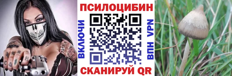 Галлюциногенные грибы прущие грибы  Динская 